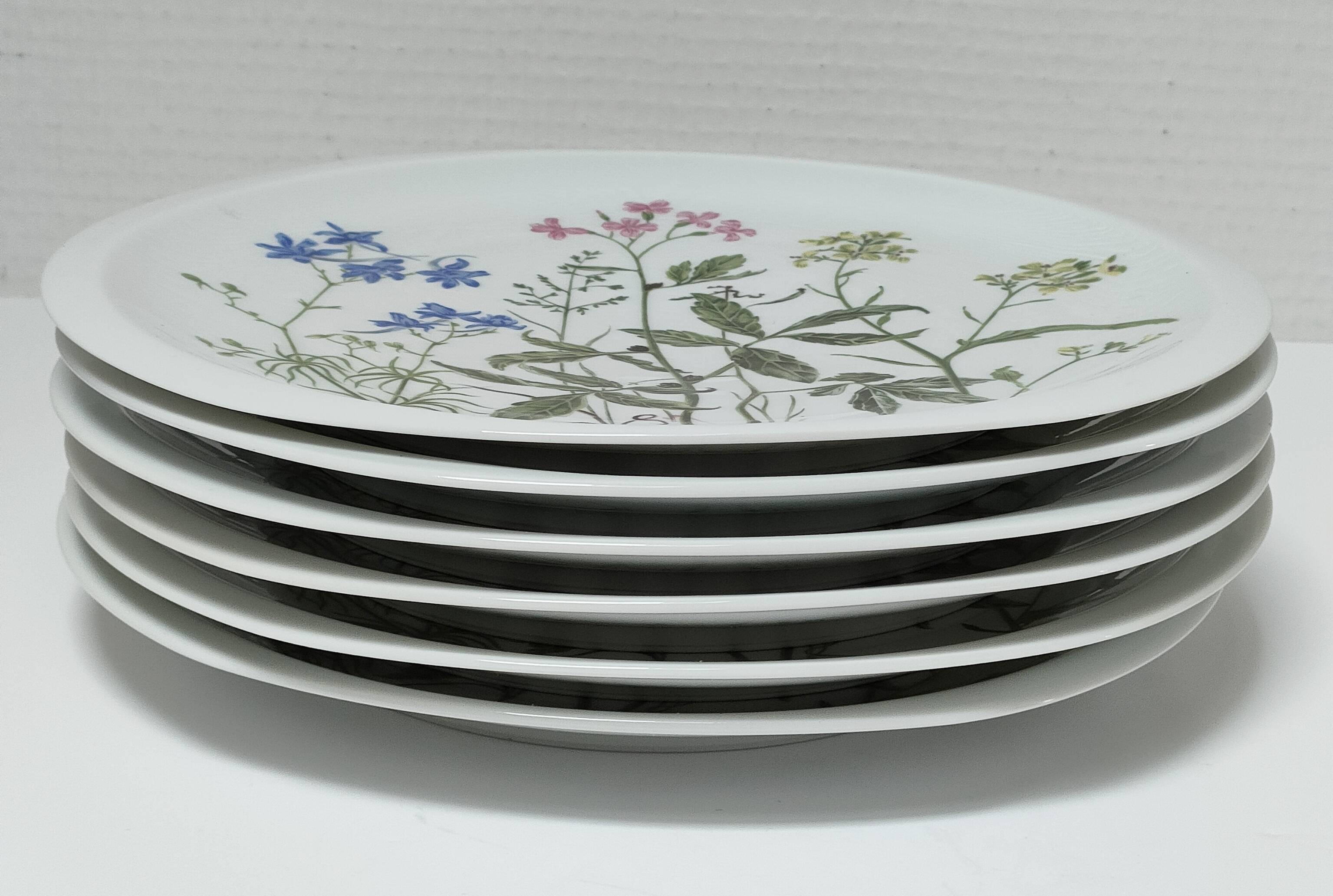 Six flat plates Alcée model porcelain Bernardaud Limoges floral decoration