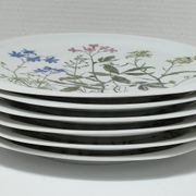 Six flat plates Alcée model porcelain Bernardaud Limoges floral decoration