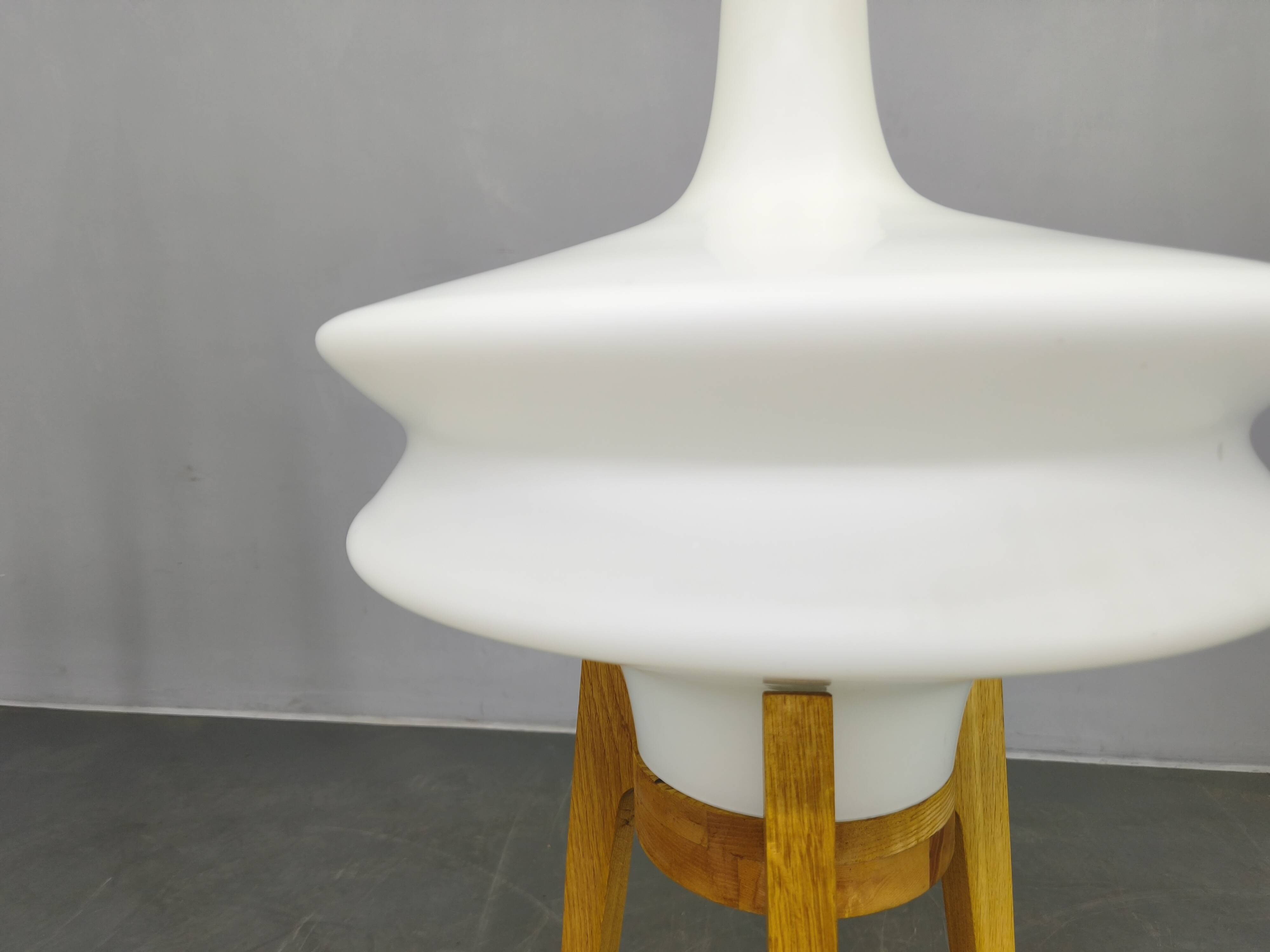 Mid Century Sculptural Floor Lamp with Glass Shade, 1970s