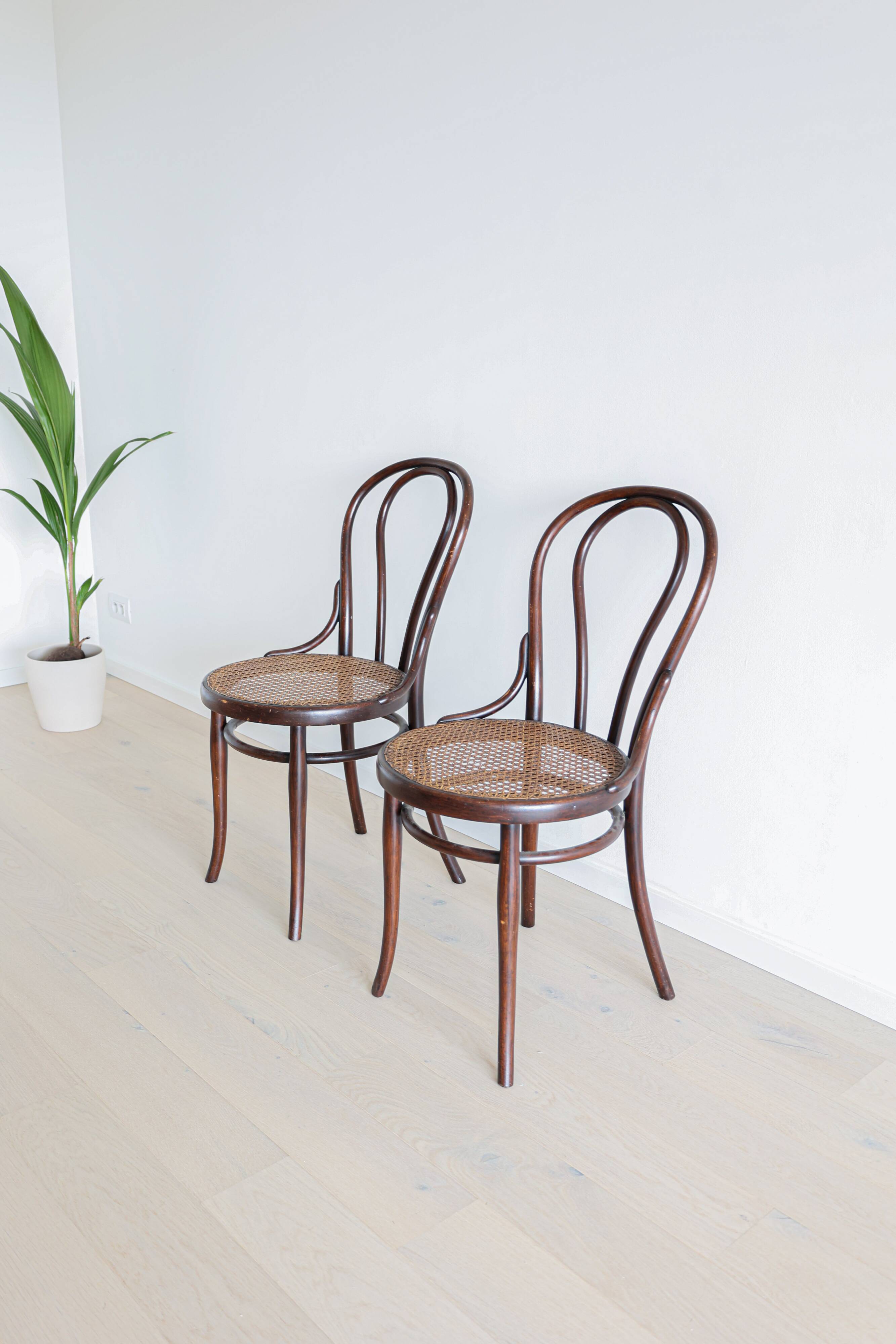 Chaises Thonet originales n°18, 1910