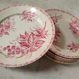7 assiettes plates motif Mûre de chez Badonviller