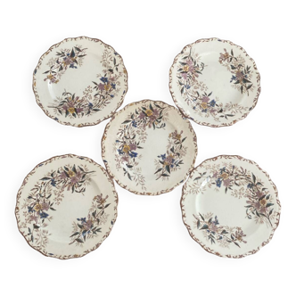 Lot de 5 assiettes Terre de fer modèle Jasmin