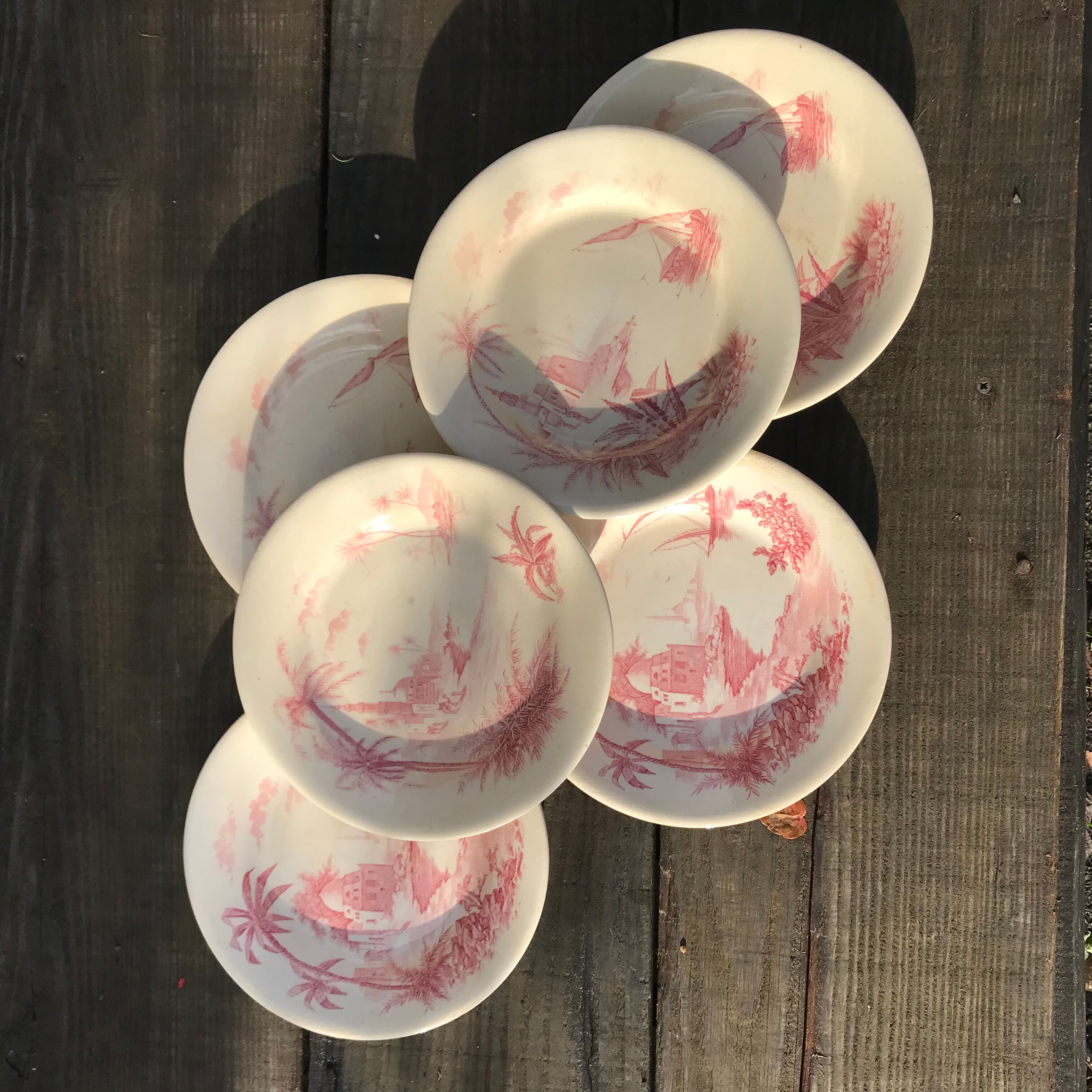 6 assiettes vues d’orient Roses Shabby