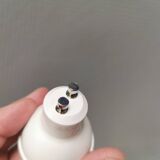 A pair of wall lamps from Eglo, in copper color and black.