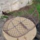 Shellfish fishing basket