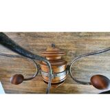 Bentwood/1900s style wall-mounted coat rack