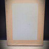 Lithograph Bengal Rose with large leaves