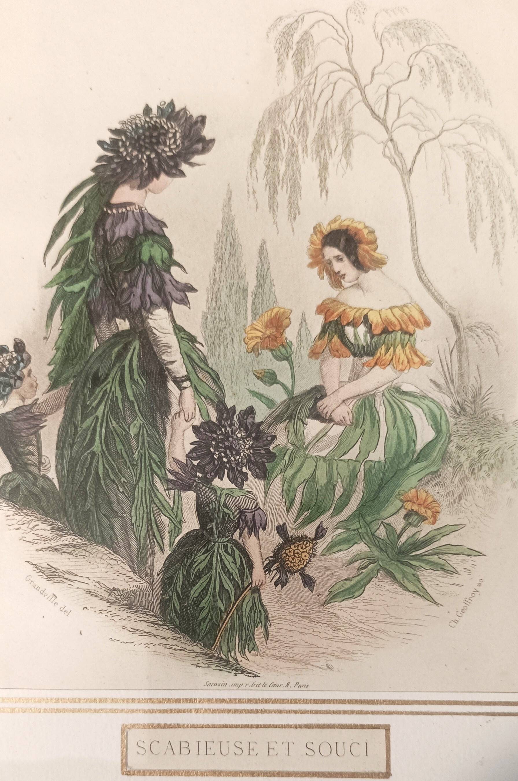 JJ Grandville Animated Flower Frame - Scabious and Marigold