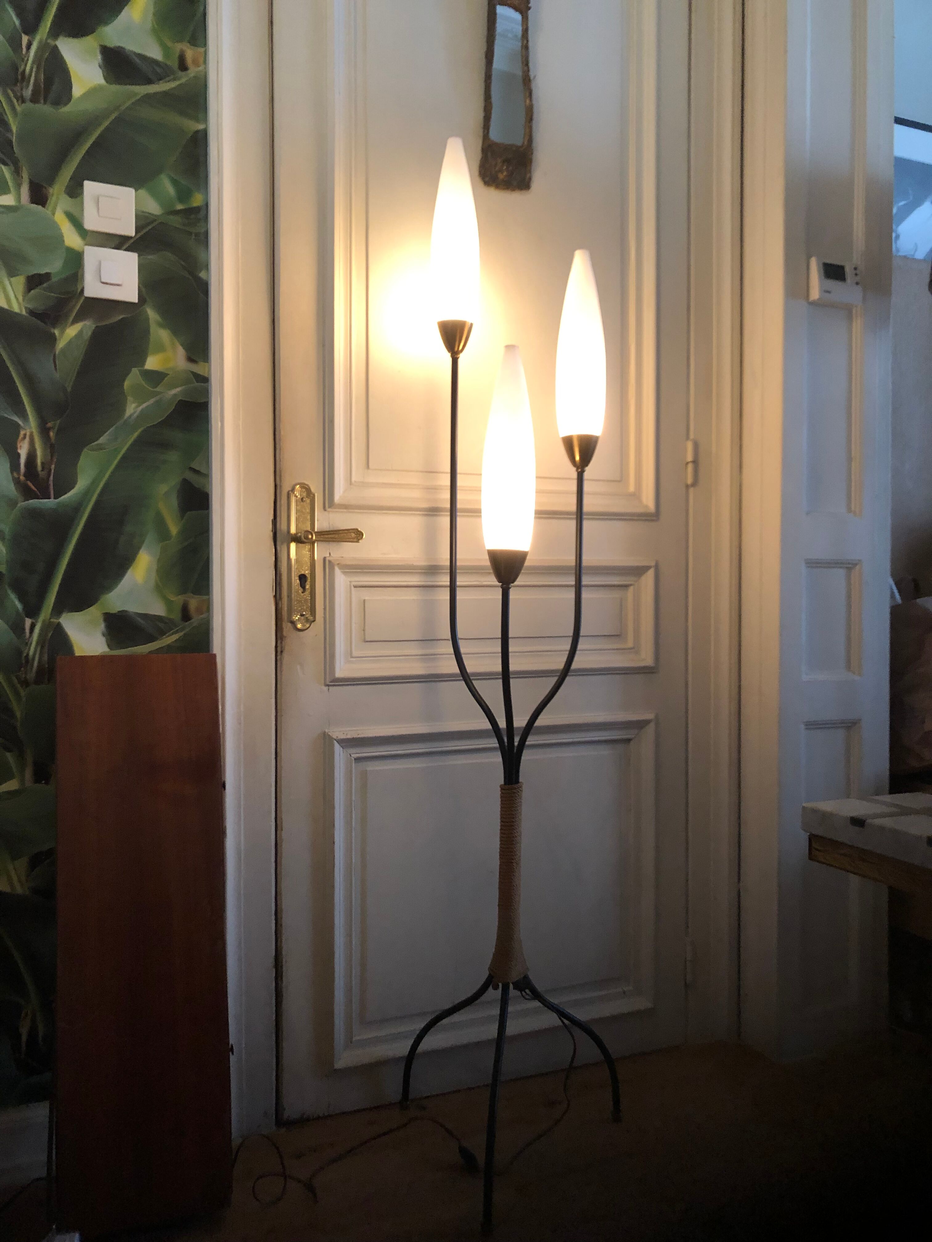 Metal and rope floor lamp and vintage opaline 50's
