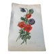 Lithograph, antique engraving double anemones, vintage and collector's herbarium style