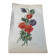 Lithograph, antique engraving double anemones, vintage and collector's herbarium style
