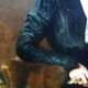 Portrait Adolphe Demange 116 X 89 Elegant at gloves 1899
