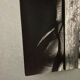 Silver photograph Bernard Darot Marguerite de Foix 20th century