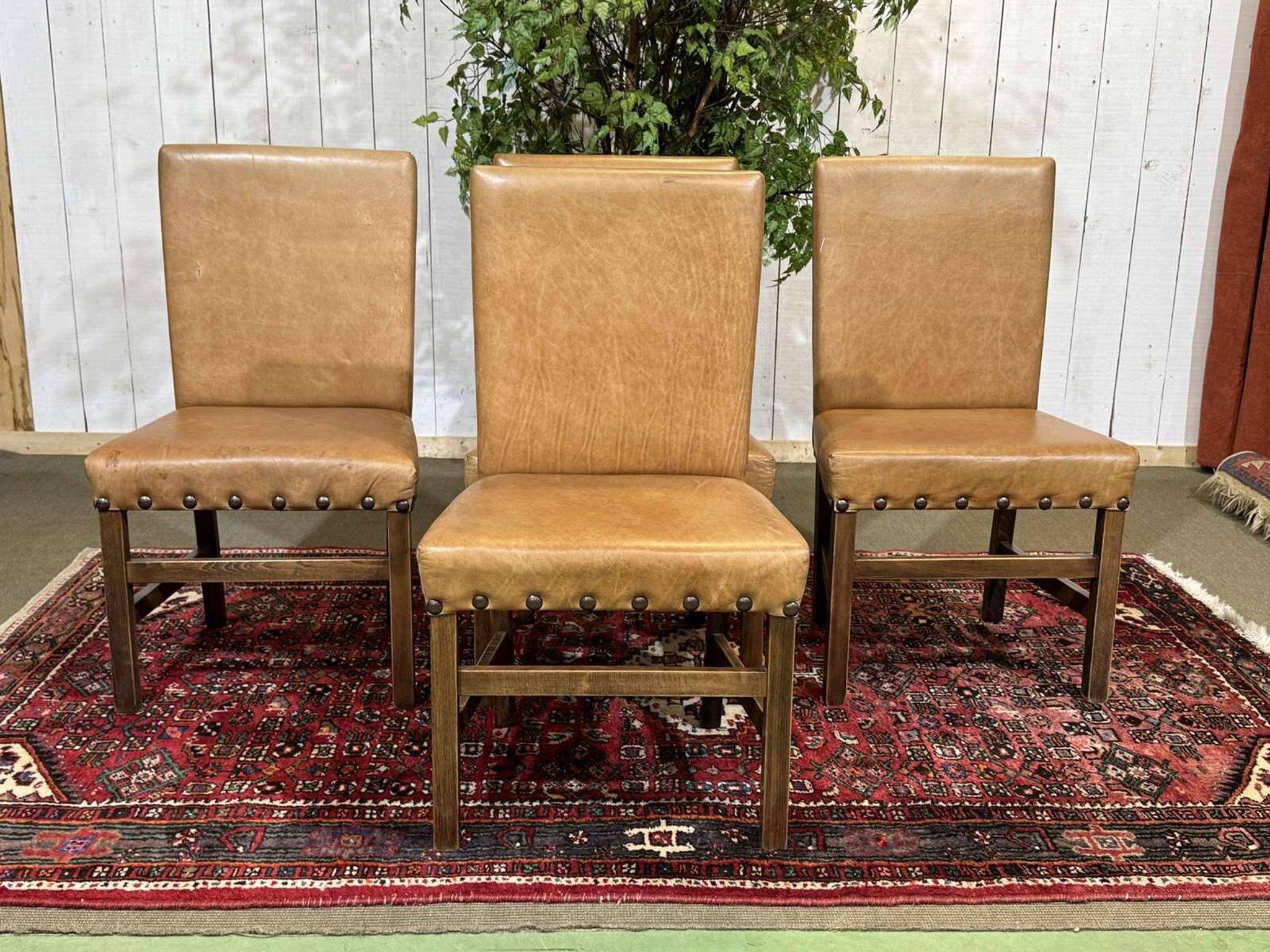 Set of 4 English beech chairs with faux leather from the 1980s.