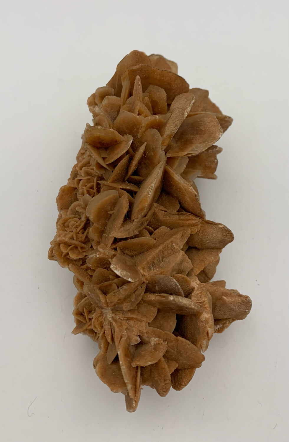 Sand rose, 555 grams, 16 cm x 9 cm