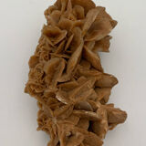 Sand rose, 555 grams, 16 cm x 9 cm