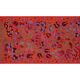 Hand-knotted rug, vintage Turkish rug 103x186 cm