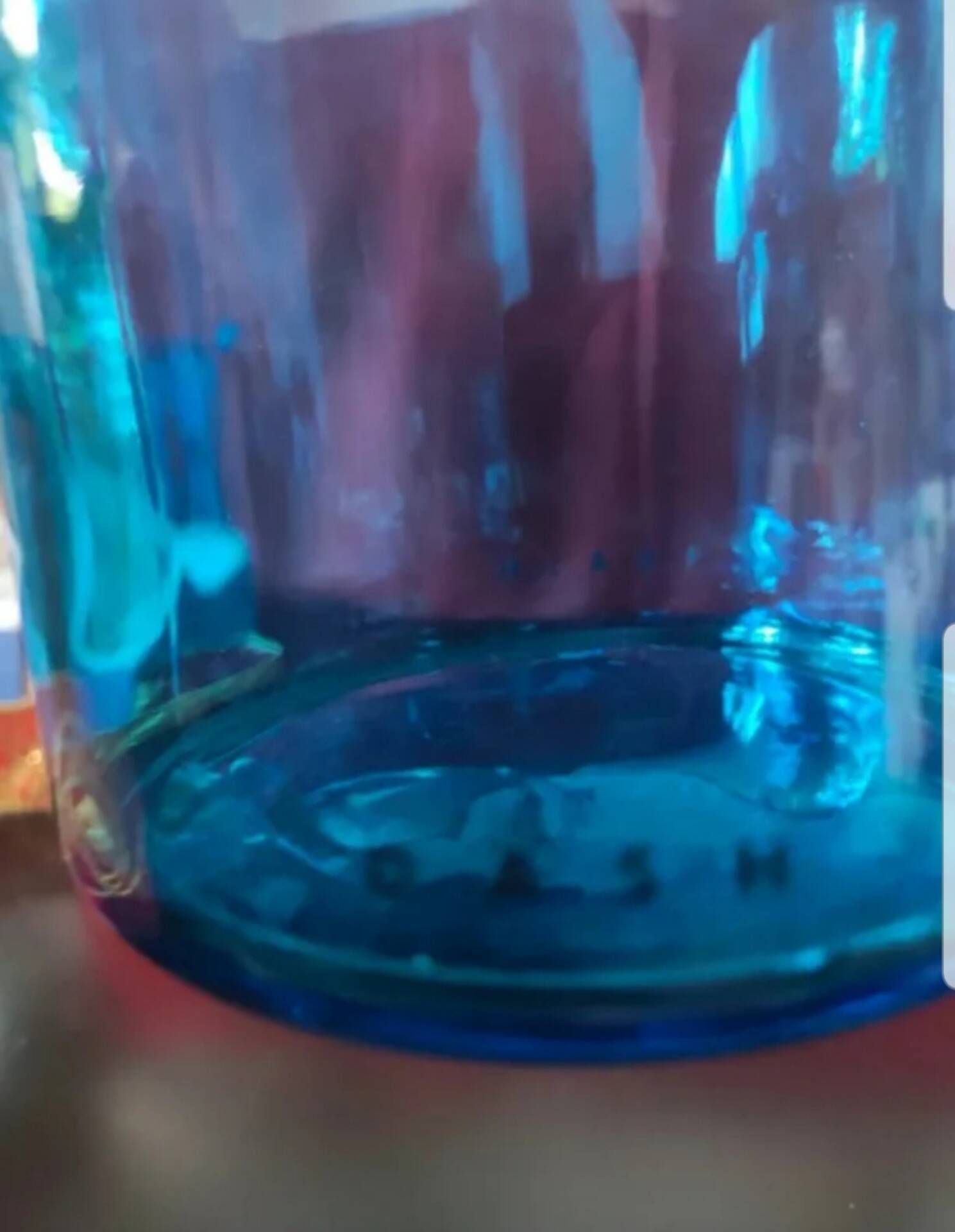 Blue glass apothecary jar, Belgium