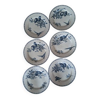Sarreguemines Flat Plates Favorite Blue Model