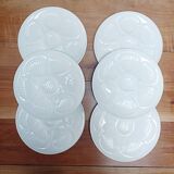 Set of 6 white oyster plates