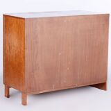 Restored Art Deco Sideboard, Palisander, Revived Polish, France, 1920s