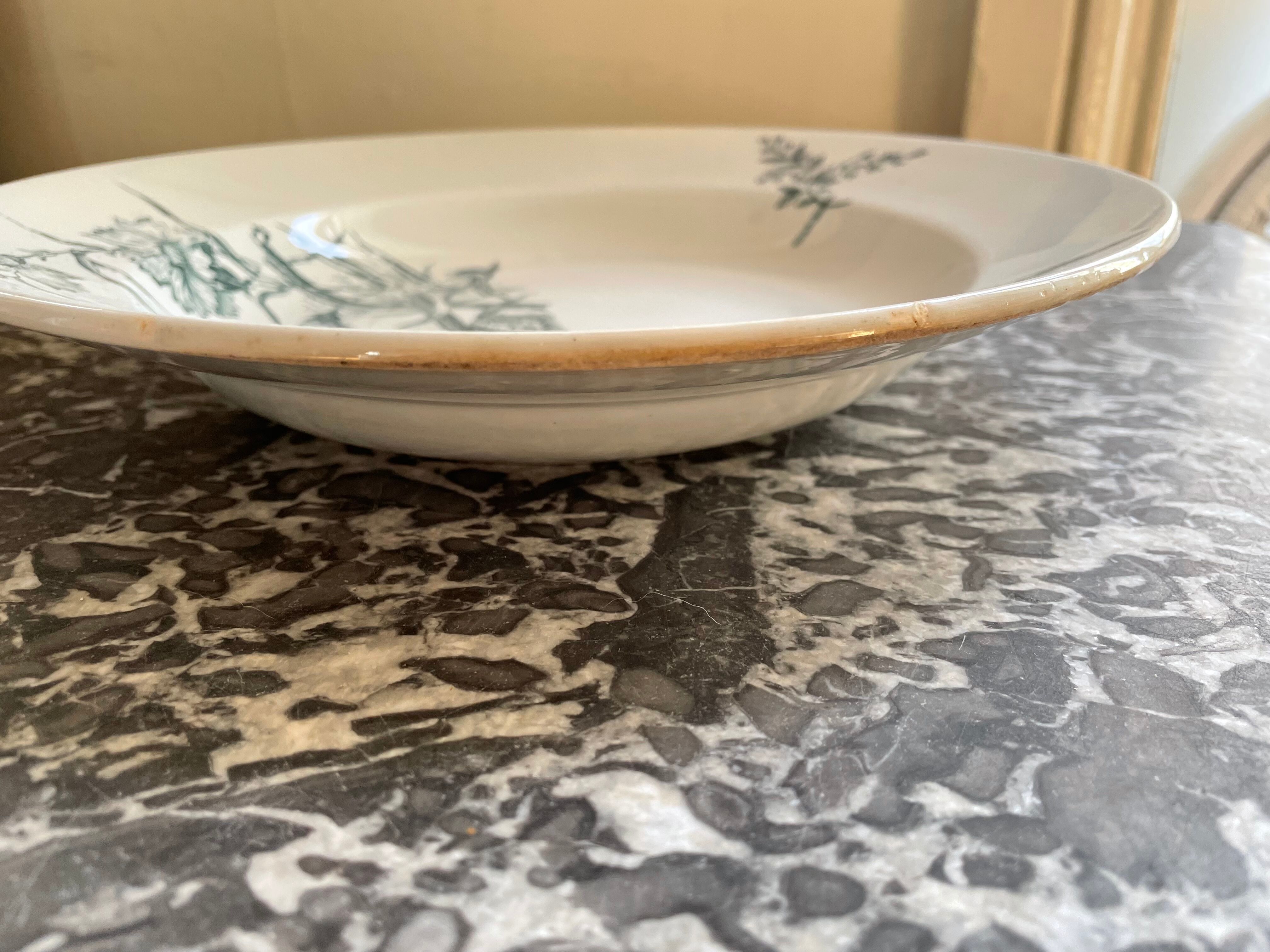 Hollow dish Saint Amand & Hamage "Aucella"