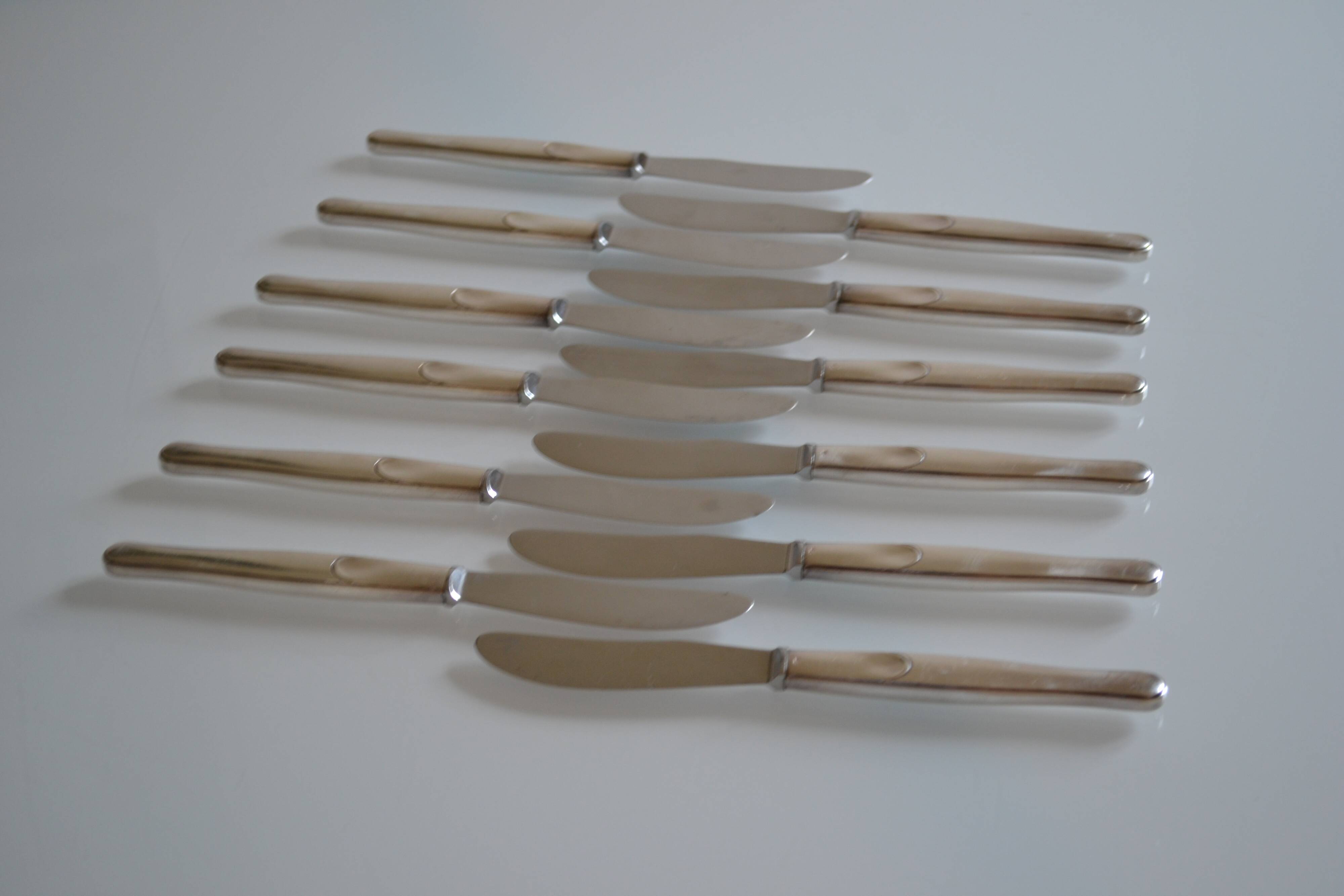 12 table knives silver metal handles & stainless steel blades 22 cm