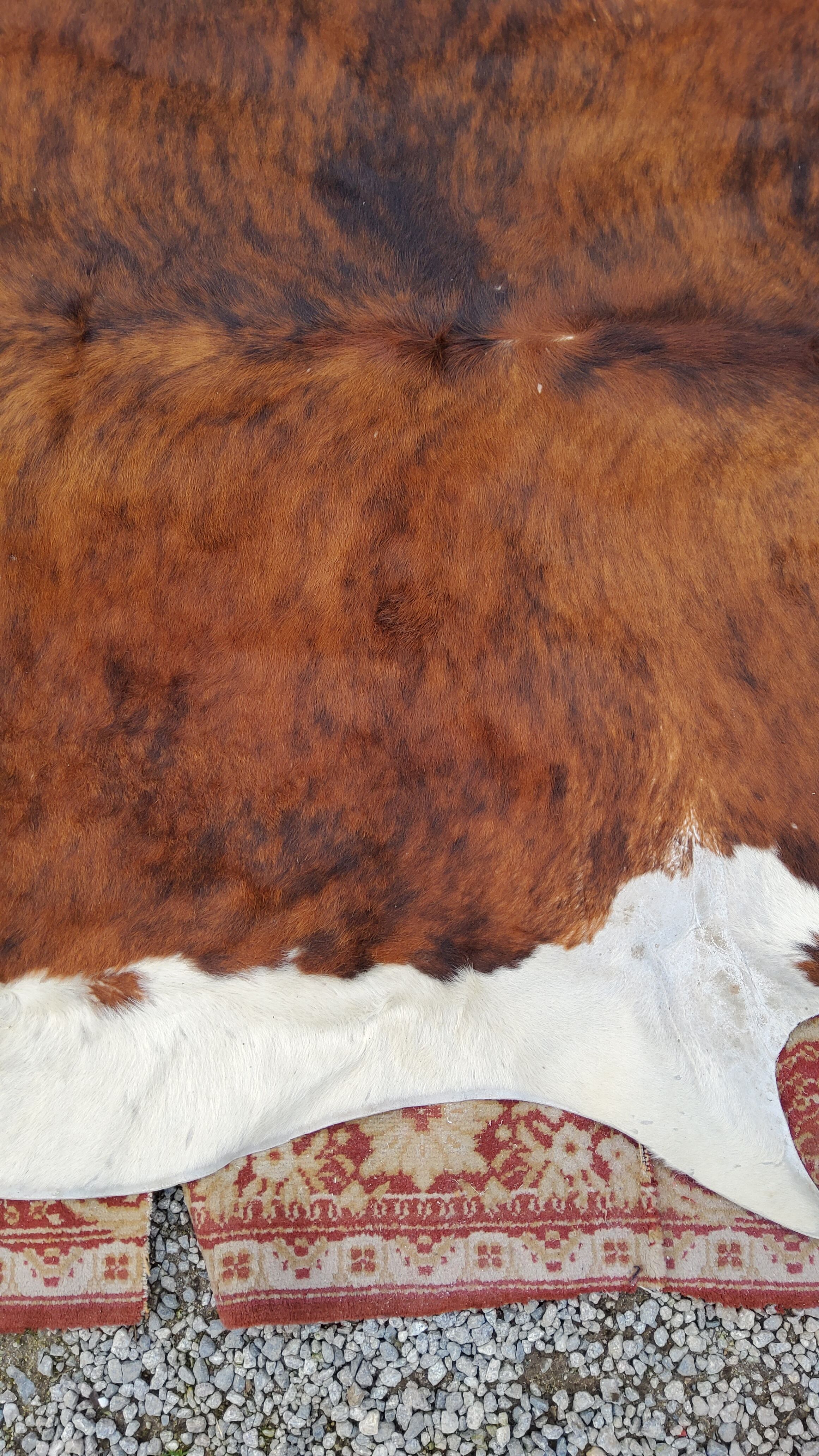 Tapis peau de vache des années 70