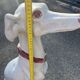 Large Sitting Greyhound Statue in Concrete / Cement - Garden Decoration or