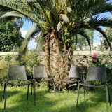 4 Emu garden chairs stackable design