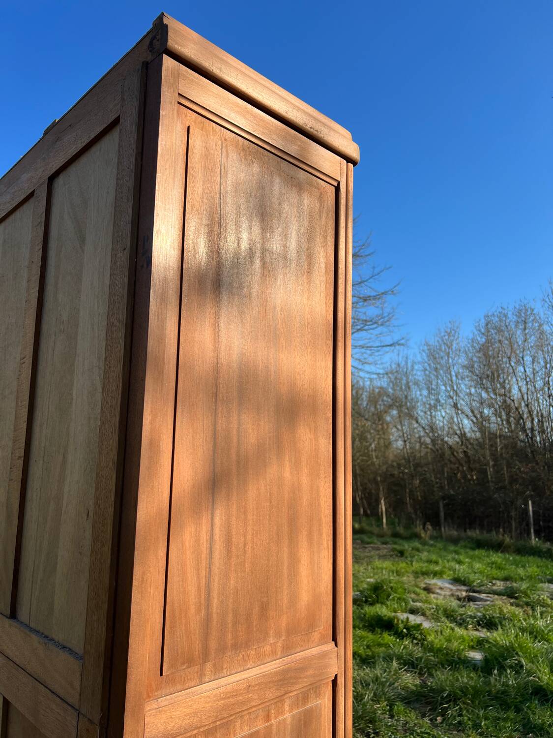 Armoire art déco en bois exotique