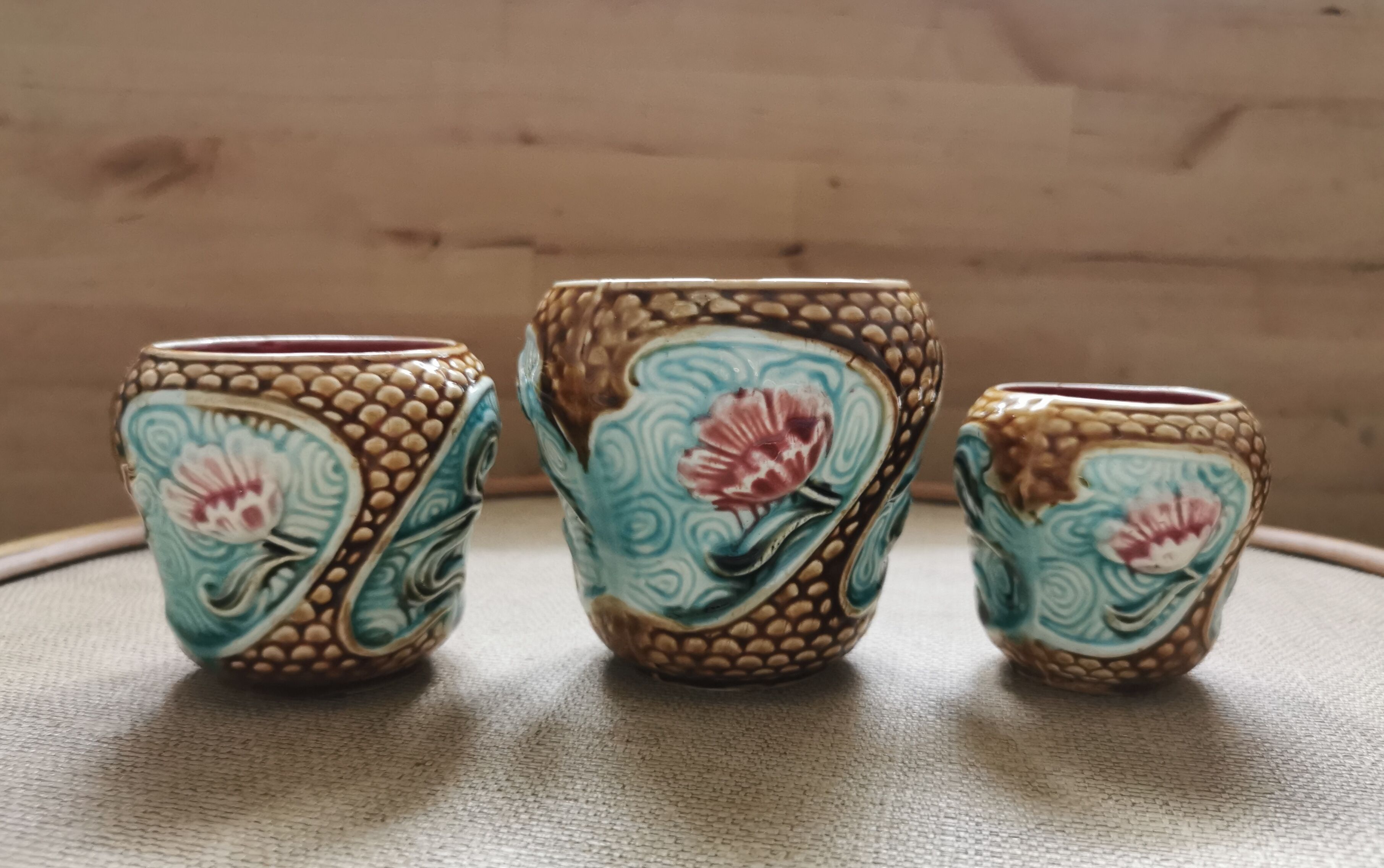 Vases plants in ancient dabbling