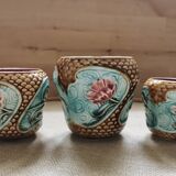 Vases plants in ancient dabbling