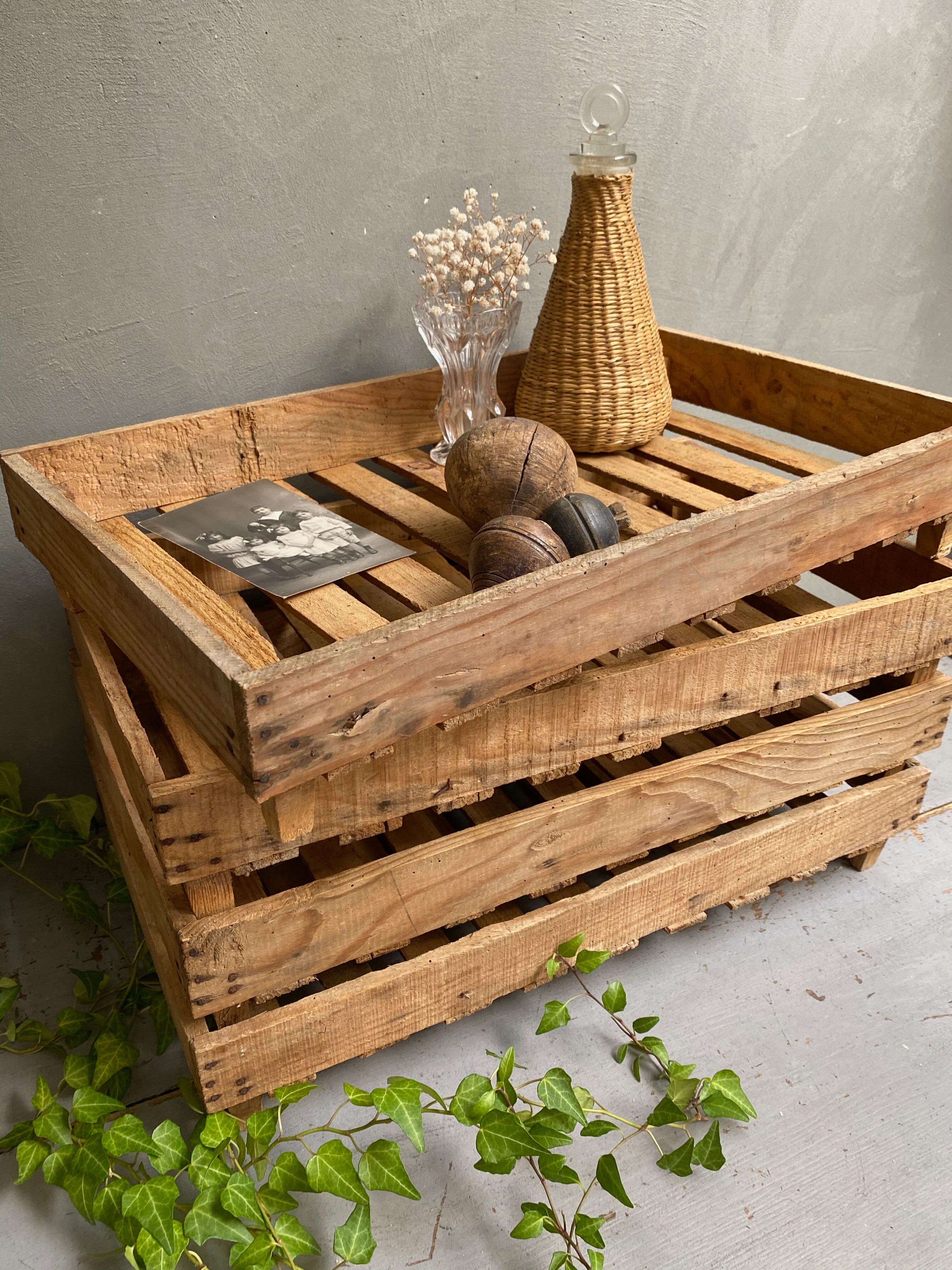 Market gardener tray