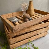 Market gardener tray