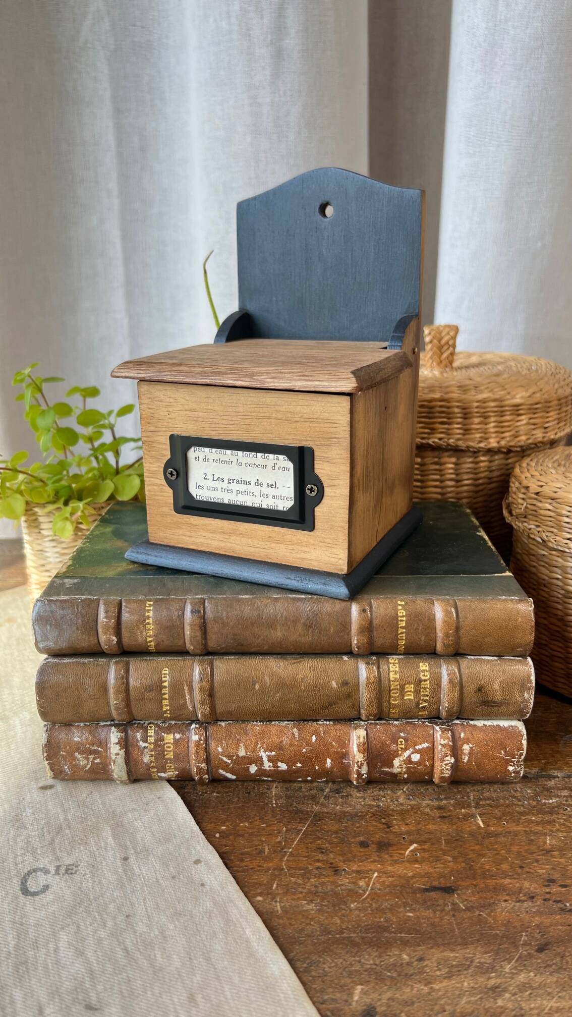 Small “grains of salt” salt box