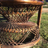 Emmanuelle adult peacock chair for the 70s