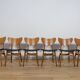 Mid-Century Librenza Dining Chairs from G-Plan, 1950s, United Knigdom .