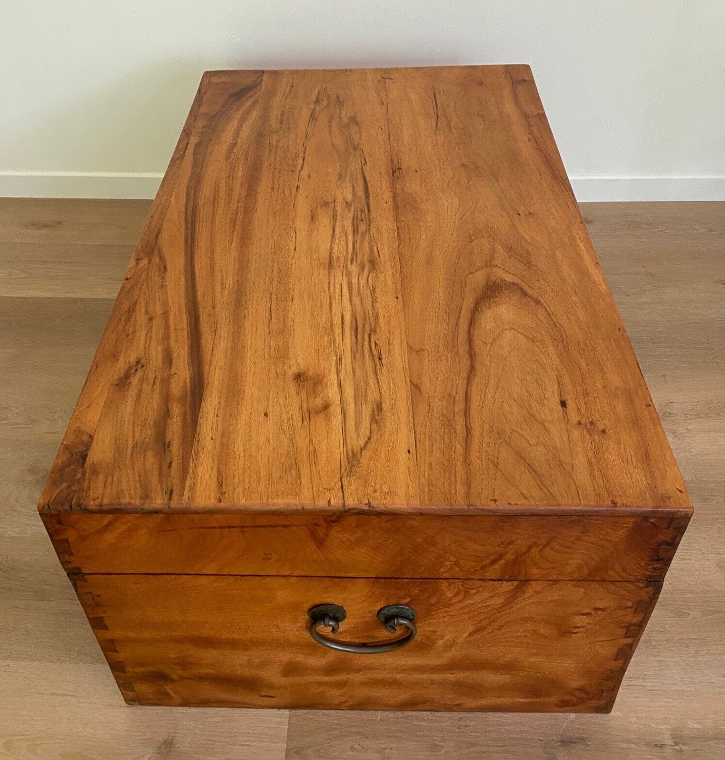 Chinese chest in camphor tree