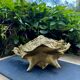 Brass planter woman Art Nouveau