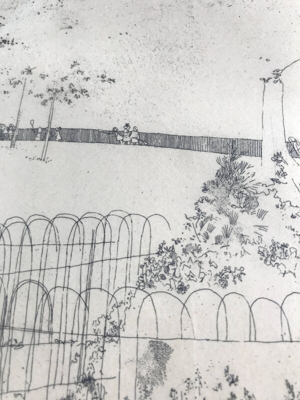 Peter stevenson, lacrosse hyde park, 1972. eau-forte signée au crayon