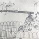 Peter stevenson, lacrosse hyde park, 1972. etching signed in pencil