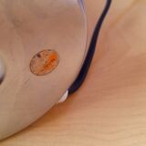 Targetti Sankey lamp, 1970.