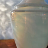 Old Sèvres opaline vase