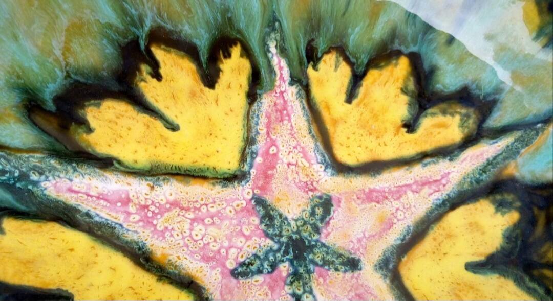 Multicolored earthenware dish signed Yvon Roy