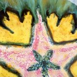 Multicolored earthenware dish signed Yvon Roy