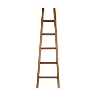 Ancient wood scale