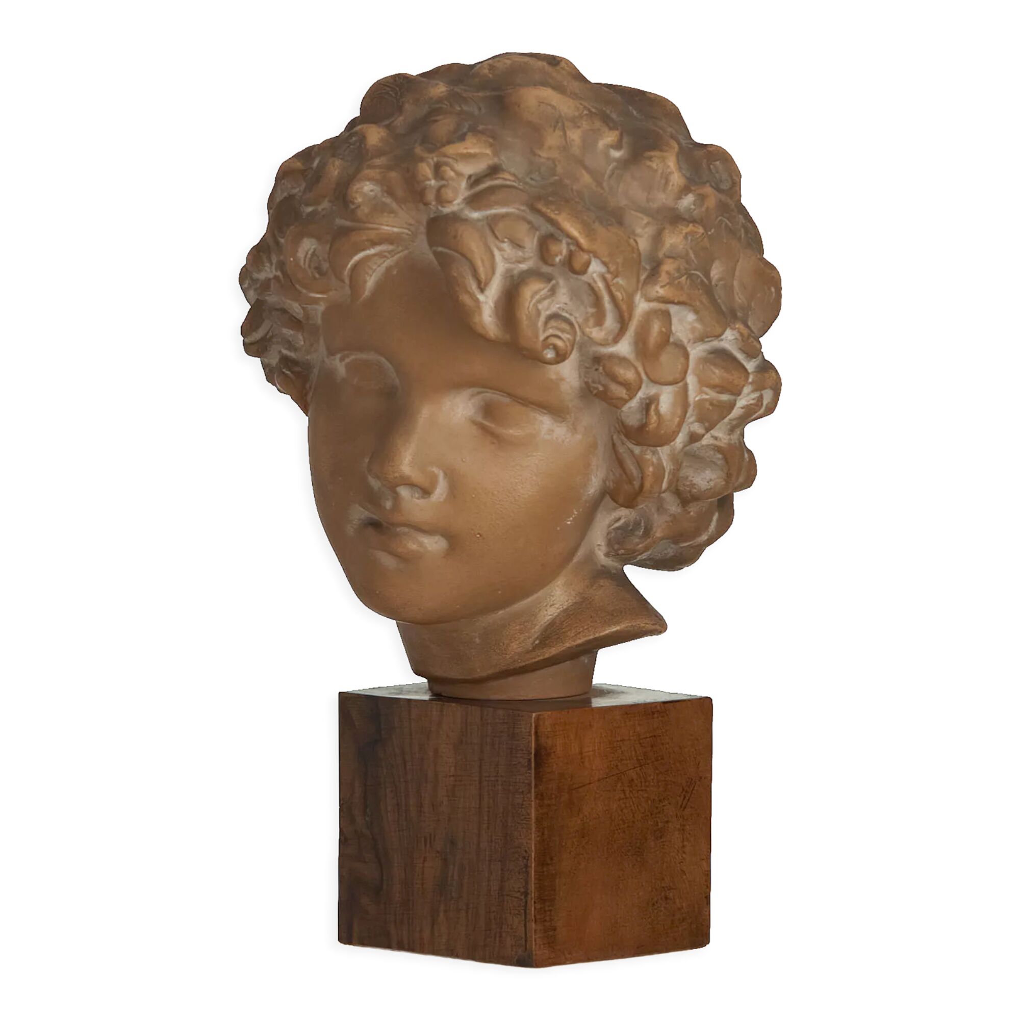 Ephebe terracotta bust