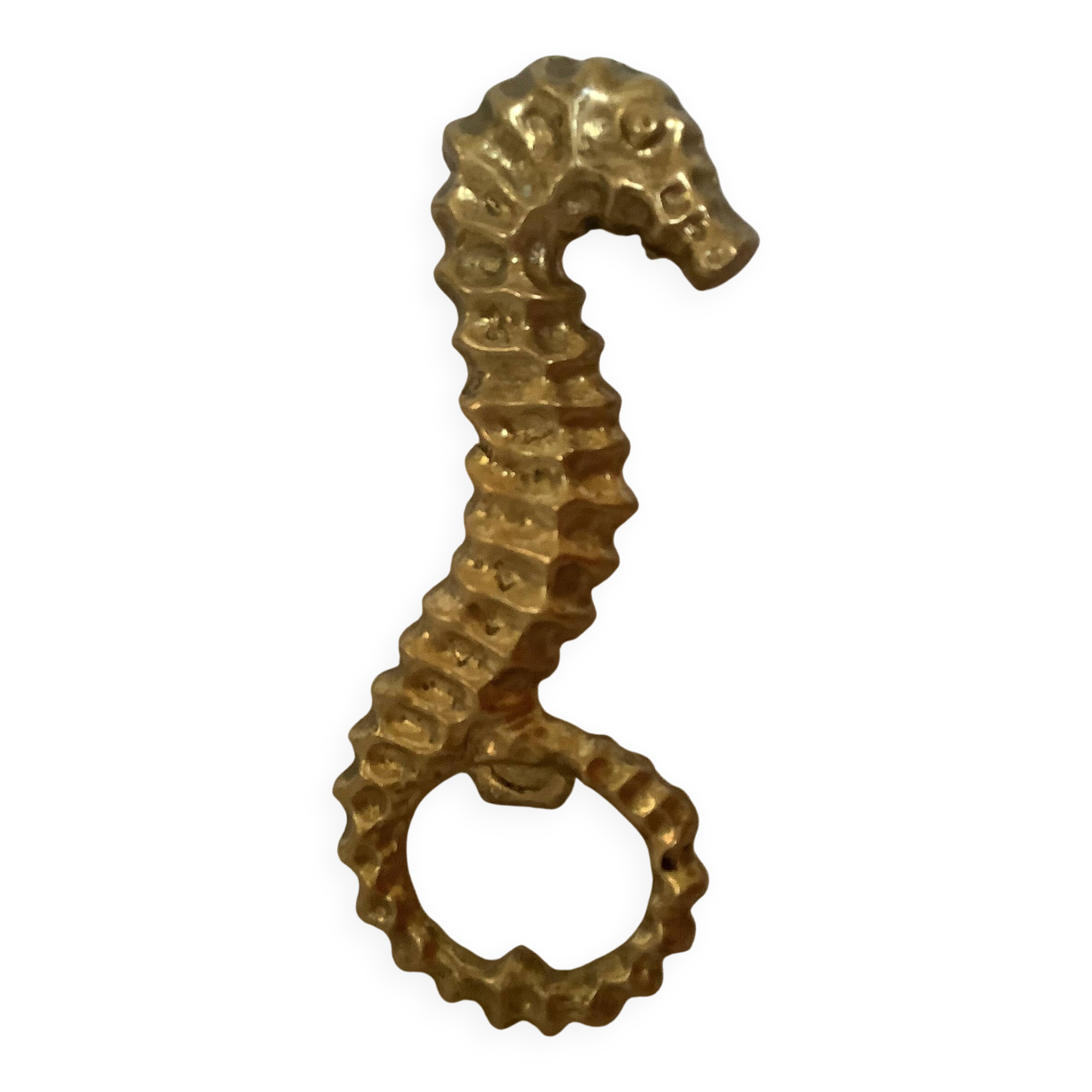 Small brass seahorse