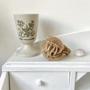 Sand rose